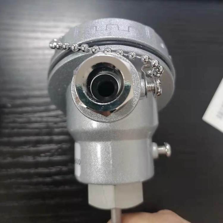 意大利ELSI温度传感器