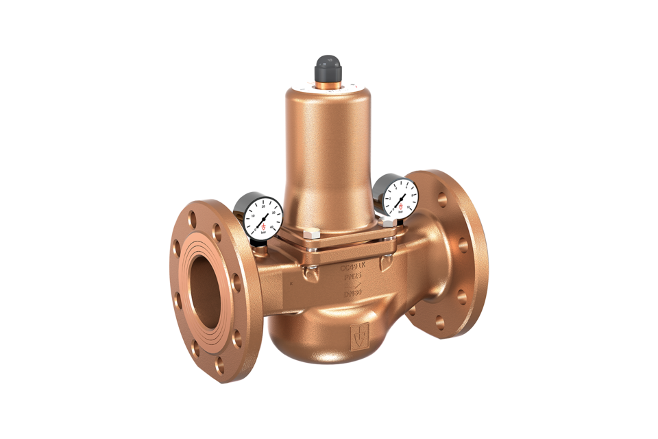 德国GOETZE减压阀(图9)