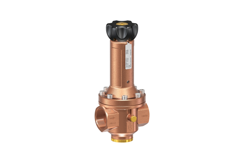 德国GOETZE减压阀(图12)